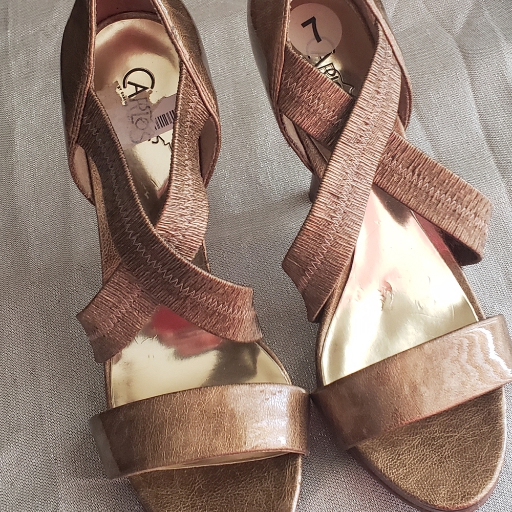 Carlos Santana Heels